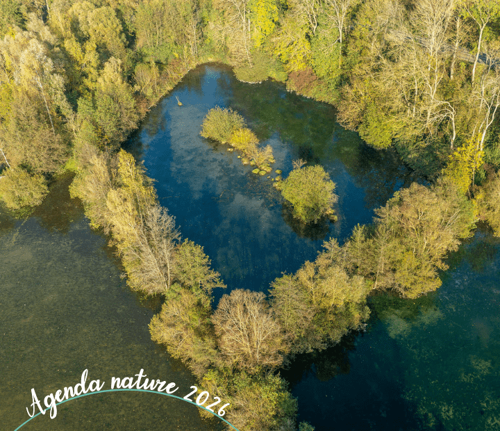 Balade contée avec le conteur Thomas Dupont - 27 juin